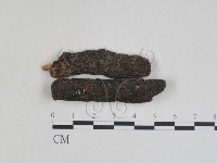 登錄號:F0027966藏品圖，第1張