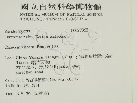 登錄號:F0027968藏品圖，第2張