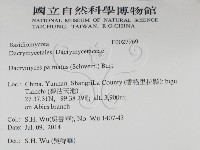 登錄號:F0027969藏品圖，第2張