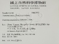 登錄號:F0027970藏品圖，第2張