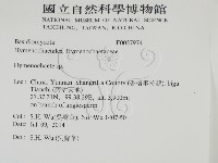 刺革菌屬藏品圖，第2張