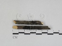 登錄號:F0027977藏品圖，第1張