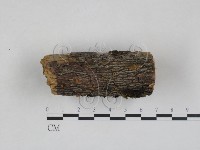 登錄號:F0027978藏品圖，第1張