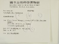 盤革菌屬藏品圖，第2張