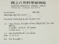 登錄號:F0027983藏品圖，第2張