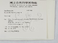 登錄號:F0027986藏品圖，第2張