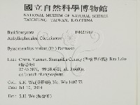 登錄號:F0027989藏品圖，第2張