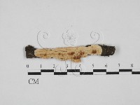 登錄號:F0027989藏品圖，第1張