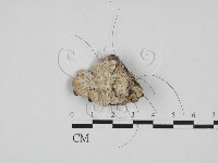 登錄號:F0027991藏品圖，第1張