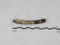 登錄號:F0027992藏品圖，第1張