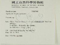 登錄號:F0027993藏品圖，第2張