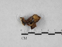 登錄號:F0027993藏品圖，第3張