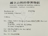 登錄號:F0027996藏品圖，第2張