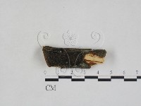 登錄號:F0027996藏品圖，第1張