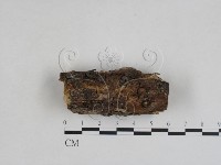 登錄號:F0027998藏品圖，第1張