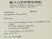 多孔菌屬藏品圖，第2張