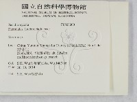 登錄號:F0028000藏品圖，第2張