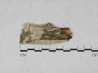 登錄號:F0028000藏品圖，第1張