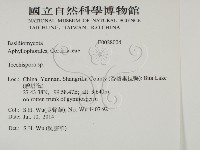 登錄號:F0028004藏品圖，第2張