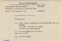 登錄號:F0028004藏品圖，第3張