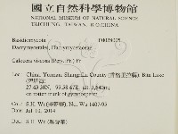 登錄號:F0028005藏品圖，第2張