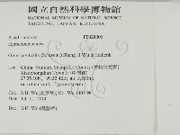 登錄號:F0028006藏品圖，第2張