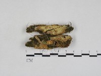 登錄號:F0028006藏品圖，第1張