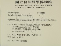 登錄號:F0028008藏品圖，第2張