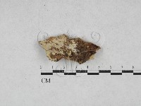 登錄號:F0028009藏品圖，第1張