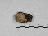 登錄號:F0028010藏品圖，第1張