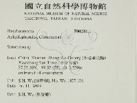 登錄號:F0028011藏品圖，第2張