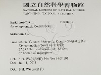 登錄號:F0028014藏品圖，第2張