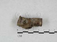 登錄號:F0028014藏品圖，第1張