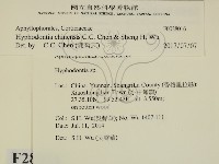 登錄號:F0028016藏品圖，第2張
