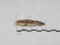 登錄號:F0028016藏品圖，第1張