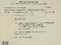登錄號:F0028017藏品圖，第2張