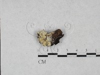 登錄號:F0028017藏品圖，第1張