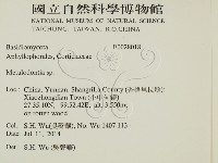 登錄號:F0028018藏品圖，第2張