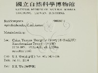 登錄號:F0028019藏品圖，第2張