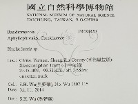 絲齒菌屬藏品圖，第2張