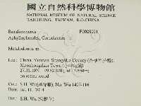 登錄號:F0028021藏品圖，第2張