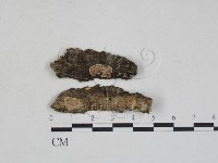 登錄號:F0028023藏品圖，第1張