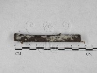 登錄號:F0028024藏品圖，第1張