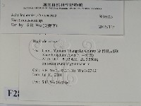 登錄號:F0028025藏品圖，第2張