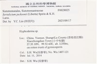 登錄號:F0028025藏品圖，第3張