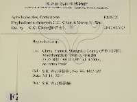 登錄號:F0028026藏品圖，第2張