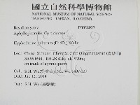 登錄號:F0028027藏品圖，第2張