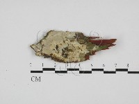 登錄號:F0028027藏品圖，第1張
