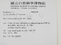 登錄號:F0028028藏品圖，第2張