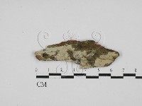 登錄號:F0028028藏品圖，第1張